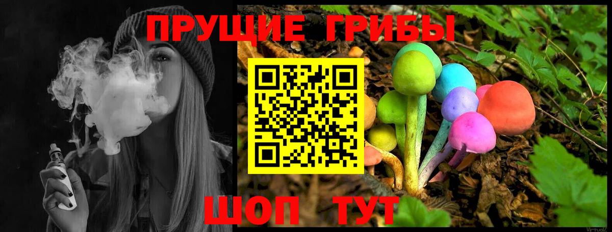 Псилоцибиновые грибы Psilocybe  Вход с VPN  Избербаш  Галлюциногенные грибы Psilocybine cubensis 